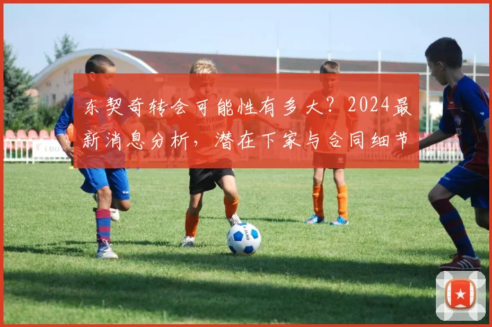 东契奇转会可能性有多大？2024最新消息分析，潜在下家与合同细节全解读